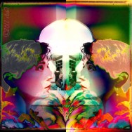 Wax and Wane