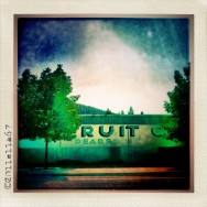 Ruit
