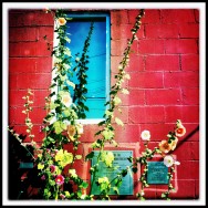 Red Wall