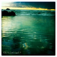 Reflective Light