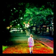 Magical Journey