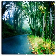 Chasing the Fog