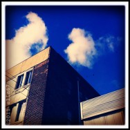 Looking Up