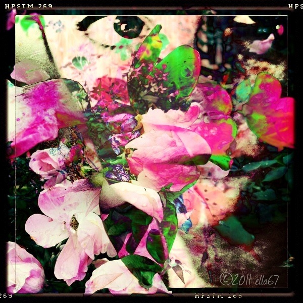 Hiding