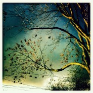 Afternoon Sun