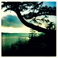 A View From Samish Island