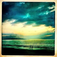 Maui Breezes